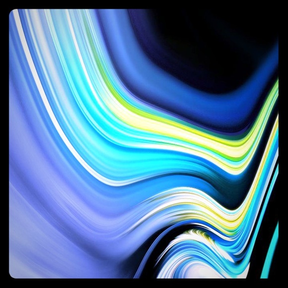 Meet your Posher, Levi - Picture 1 of 1